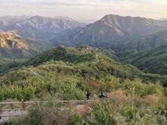 -大岭沟猕猴桃谷风景区