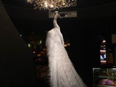 -滇野云南野生菌餐厅(陕西南路店)