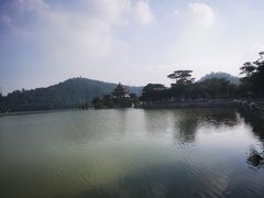 -顺峰山公园