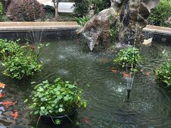 -无锡市第二人民医院(南院)