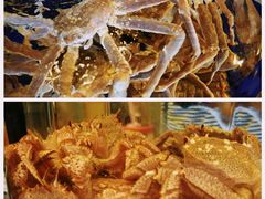 -蟹道乐(道顿堀本店)