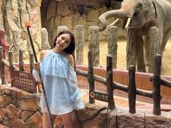 -长鹿旅游休博园