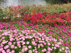 -荔湾湖公园