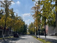 -四川大学(望江校区)
