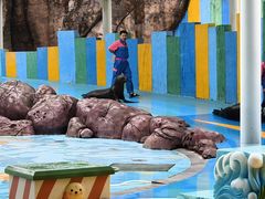 -海合安成都极地海洋公园