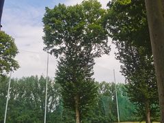 -河南省黄河迎宾馆
