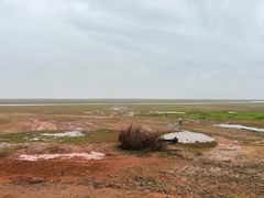 -鄱阳湖国家湿地公园