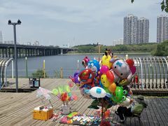 -长白岛森林公园