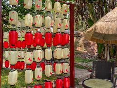 -桃源山庄·水蜜桃采摘·柴火鸡·烧烤团建(龙泉山店)