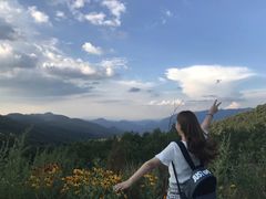 -武陵山森林公园