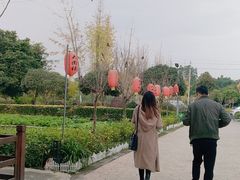 -洪湖家庭农场·团建·露营·会议