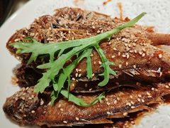 -佬肥猫·浙江乡村菜(国华广场店)