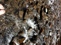 iphone_upload_pic-龙湾潭国家森林公园