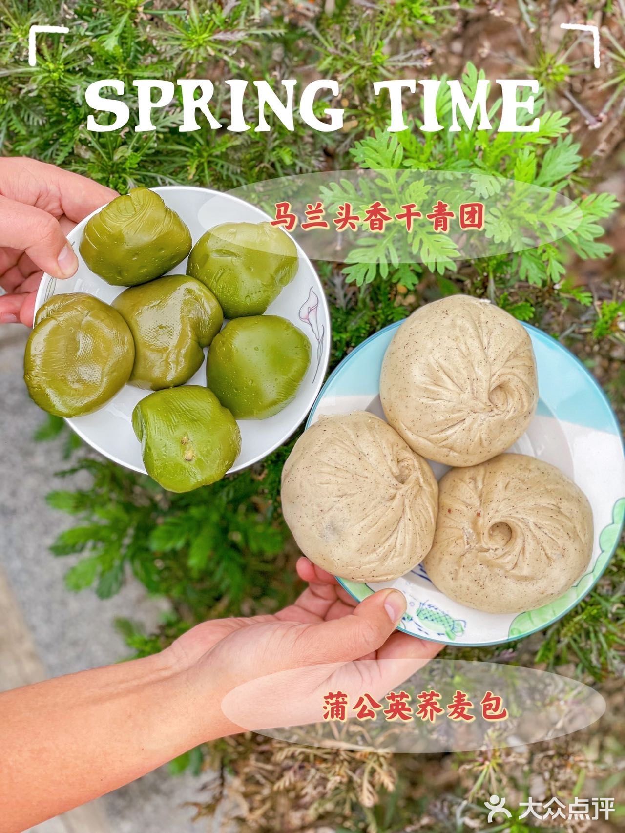 巴比出马兰头青团了！还有蒲公英荞麦包
