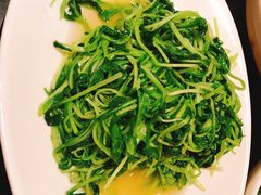 清炒鸡毛菜-西安饭庄·非遗陕菜(钟楼店)