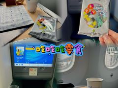 -全日本空输株式会社(上海办事处)