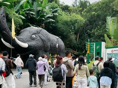 -野象谷景区
