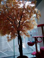 -M Hair造型