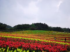 -保利石象湖景区