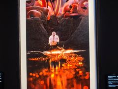 -罗红摄影艺术馆