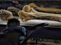 -湖南省地质博物馆