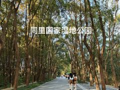 -同里国家湿地公园