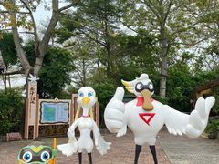 -大湾区中央湿地公园