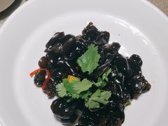 -天福苑(崇宁路店)