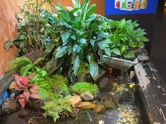 -隐炉和牛烧肉店(群力店)