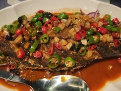 -福禧酒窖·中餐厅 (万柳店)