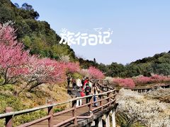 -原乡小镇度假乐园