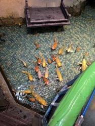 -酷嗒动物文化乐园(cutezoo西溪乐天城店)