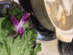 -鼎尊锅物料理(五角场店)