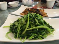 清炒鸡毛菜-三六三杭州菜(水上总店)