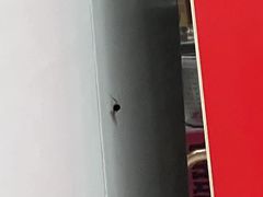 -三兴涮羊肉(荣安大街店)