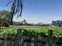 -莲花池公园