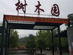 -中山市树木园