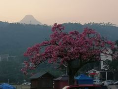 -江门古兜温泉小镇