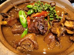 青花椒肥肠鸡煲-十六蒲(桂林路店)