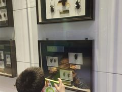 -上海昆虫博物馆