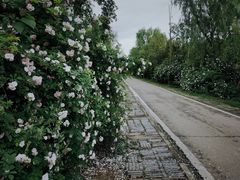 -白鹭湾湿地公园