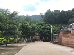 -火炉山森林公园