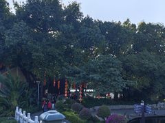 -荔湾湖公园
