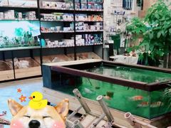 -趣陶陶艺手工坊(新世界百货重庆店)
