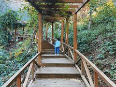 -大岭沟猕猴桃谷风景区
