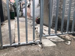 -老北京风情街