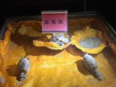 -洪江古商城