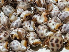 -阿里元海鲜·闽南特色菜(曾厝垵店)