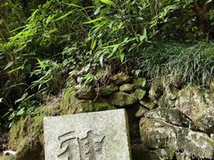-雁荡山大龙湫景区