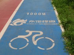 -绿堤公园